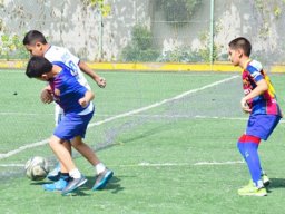 MIS Sports